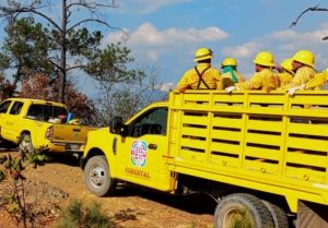 FOTO-1-Atiende-Coesfo-incendio-forestal-activo-en-Santiago-Tilantongo