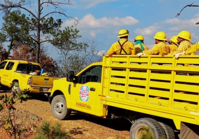 FOTO-1-Atiende-Coesfo-incendio-forestal-activo-en-Santiago-Tilantongo