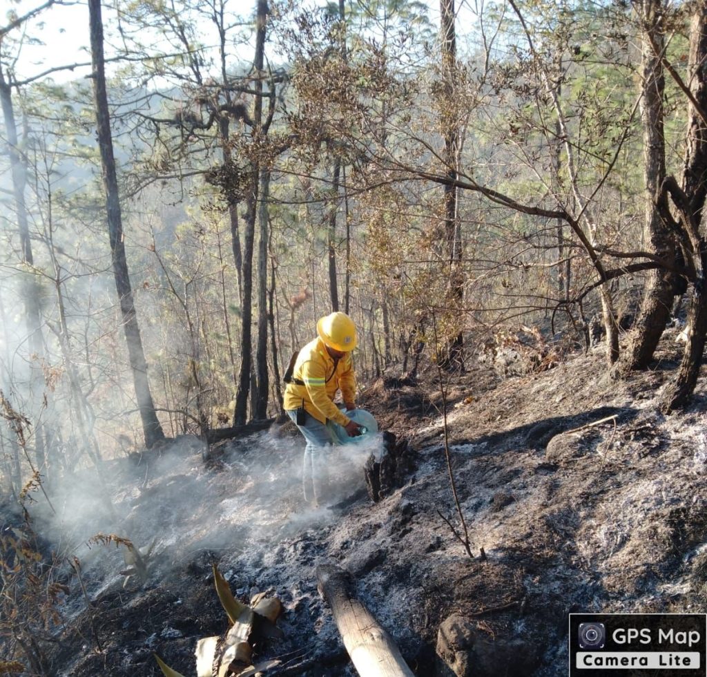 INCENDIO-1