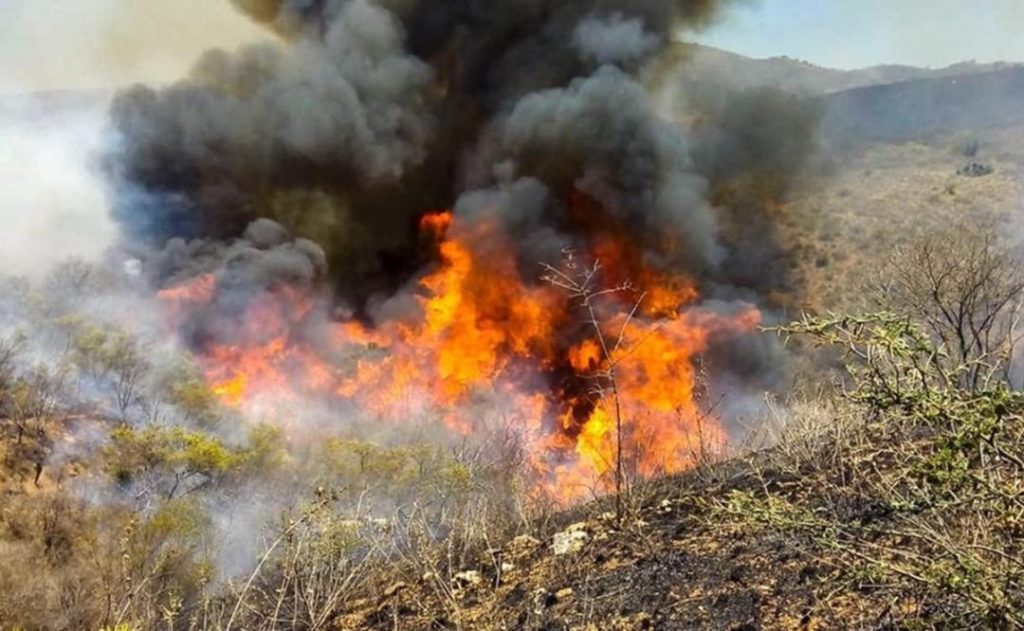 chimalapas_incendio