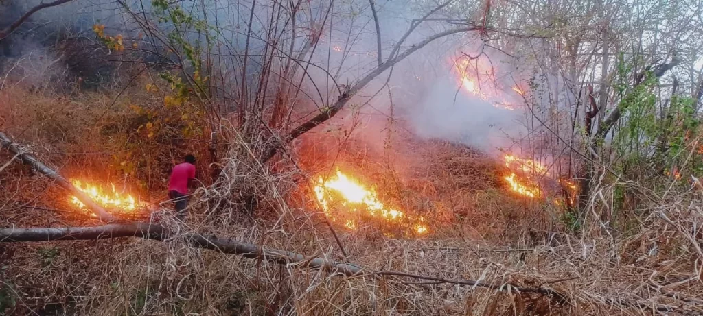 incendio-pochutla