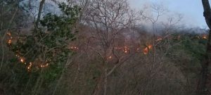 3-COESFO-Atiende Coesfo incendio intermunicipal de Santa María Huatulco y San Miguel del Puerto