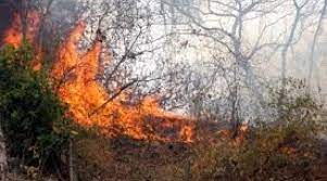 REACTIVACION INCENDIO