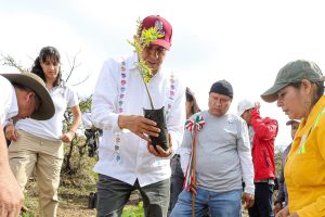 Arranca Jornada Estatal de Reforestación 2024 en San Lucas Quiaviní (5)