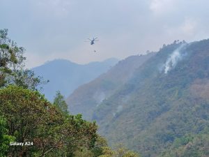 Avanza-en-85-control-de-incendio-forestal-en-San-Jose-Tenango-7