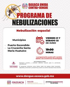 Brigadas-contra-el-dengue-refuerzan-acciones-6