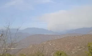 COESFO-INCENDIO-DE-NATIVIDAD-e1717641629333