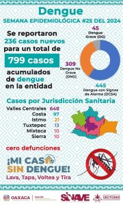 Fomenta-SSO-acciones-preventivas-contra-el-dengue-2