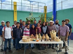 Trabaja-Sefader-para-lograr-autosuficiencia-de-maiz-en-321-municipios-de-Oaxaca-1