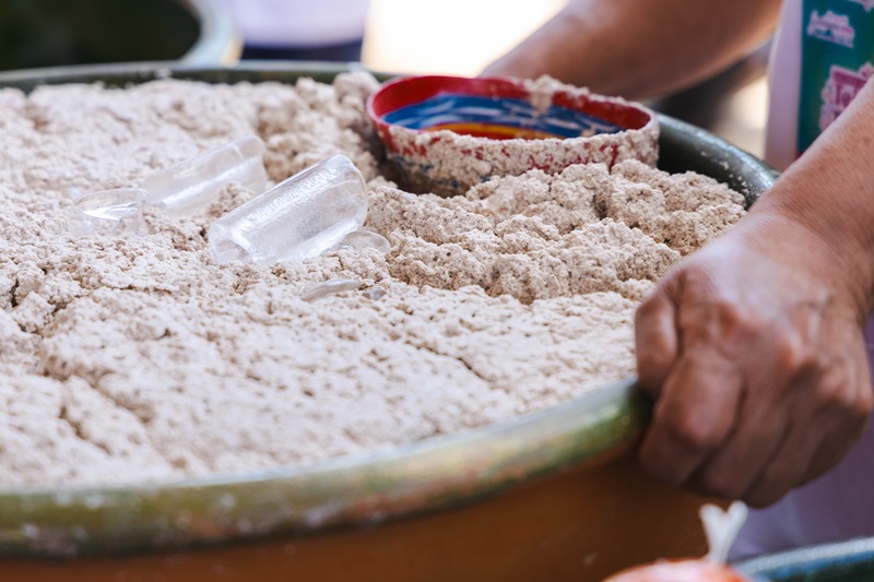 FERIA DEL TEJATE Y EL TAMAL-6