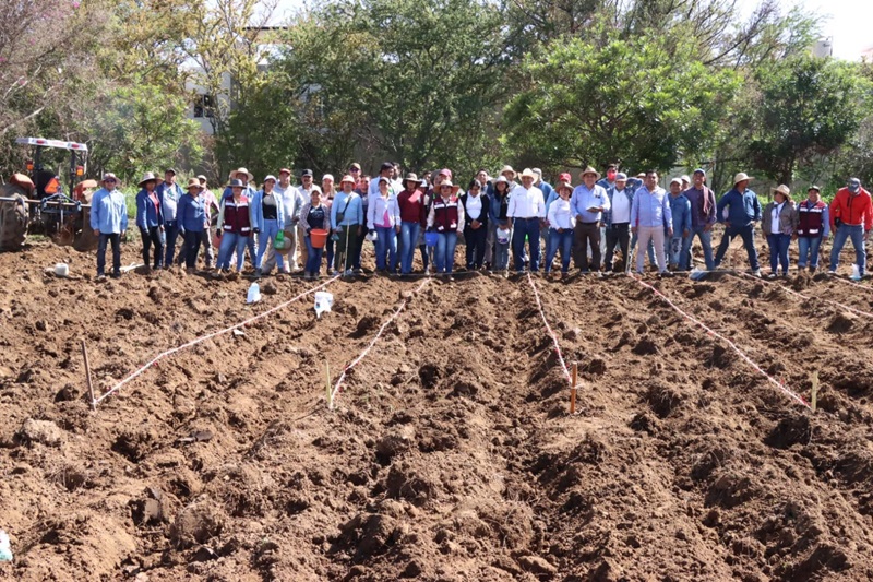 Promueve-Sefader-conservacion-de-maices-nativos-y-mejor-rendimiento-de-cosechas-en-Oaxaca-3