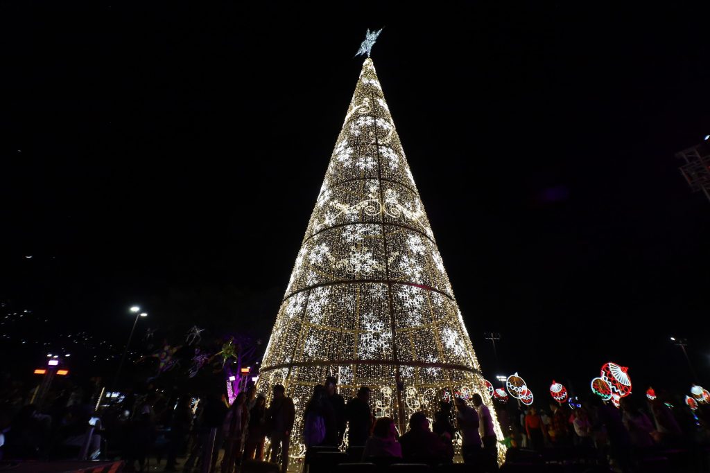 1.Invita DIF Oaxaca al Festival Navideño en el Parque Primavera Oaxaqueña