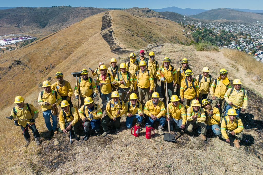 7.-- Con apertura de línea negra, protege Coesfo reforestación en Monte Albán