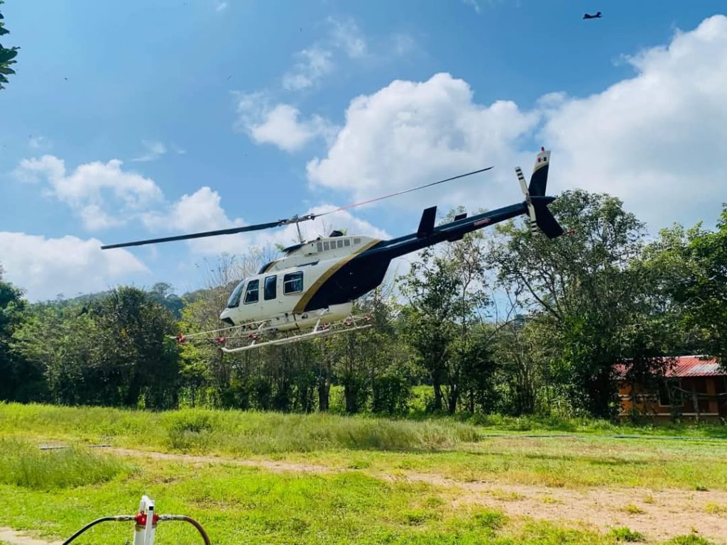 Combate Coesfo plagas forestales en Santa María Zacatepec (3)