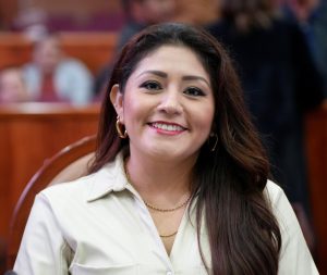 Diputada Lizbeth Concha (1)