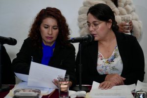 Diputada Natividad Díaz (1)
