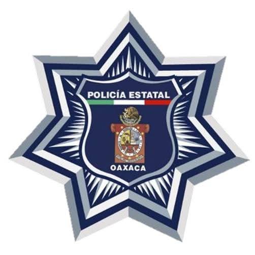 POLICÍA VIAL (1)