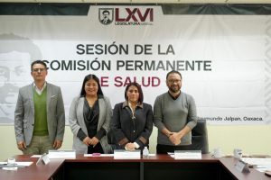 Sesión Permamente de Salud_Congreso (1)
