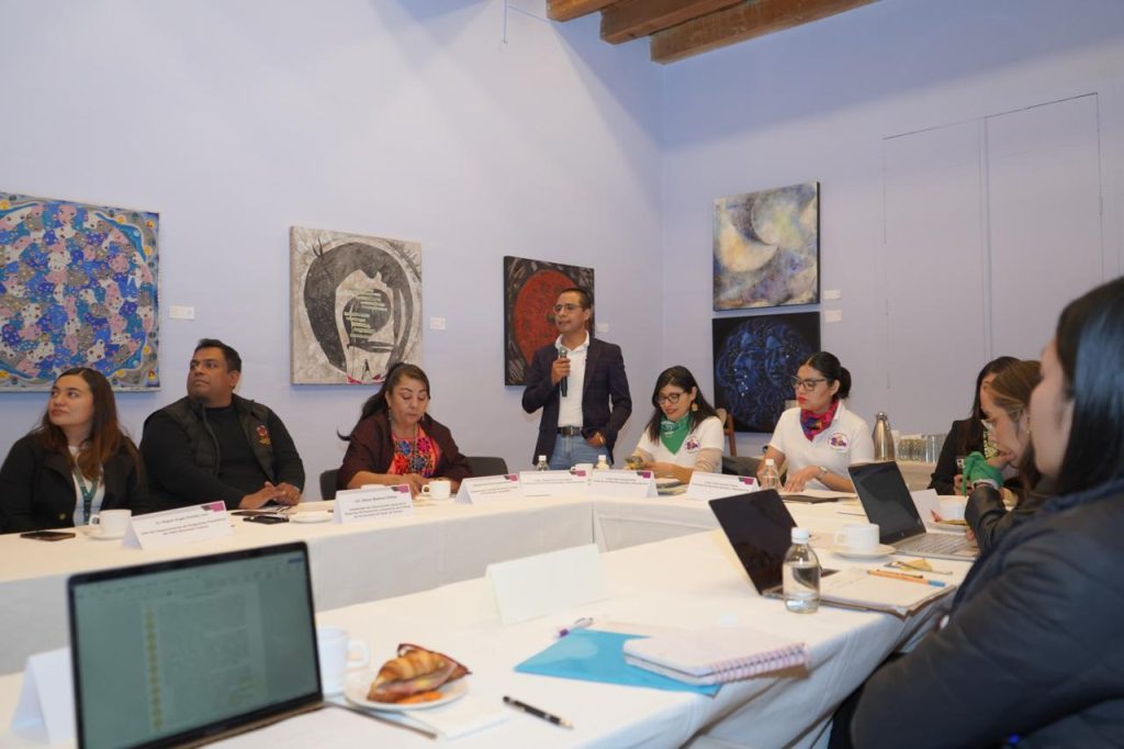 Trabajan para garantizar presupuestos públicos en la interrupción legal y segura del embarazo  (3)