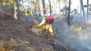 1.Reporta Coesfo control de incendio forestal  en San Migel Tilquiápam