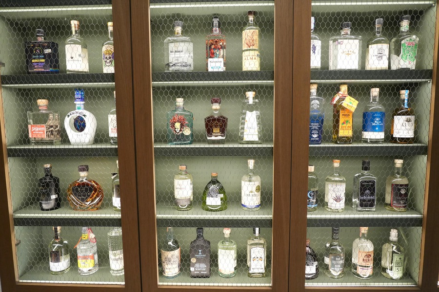 Brilla mezcal oaxaqueño en la Casa de México en España 2