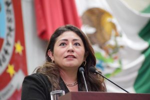Diputada Lizbeth Anaid Concha