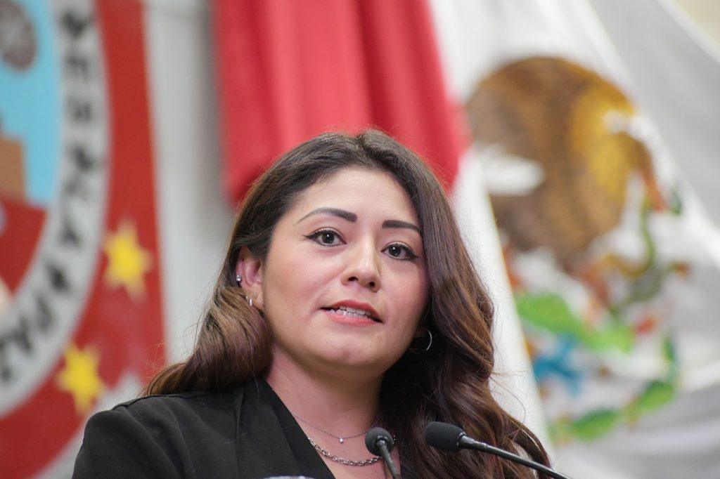 Diputada Lizbeth Concha_Iniciativa Salud Mental
