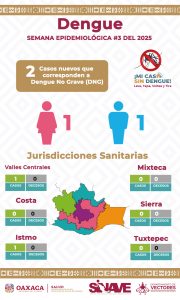 Insta SSO a reforzar acciones contra el dengue 03