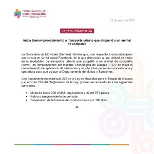 TI 20 ENE- Inicia Semovi procedimiento para transporte urbano que atropelló a un animal de compañía_page-0001