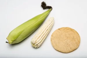 maiz-y-tortilla-scaled-e1691777166636
