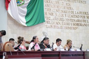 Comparecencia Seculta (3)
