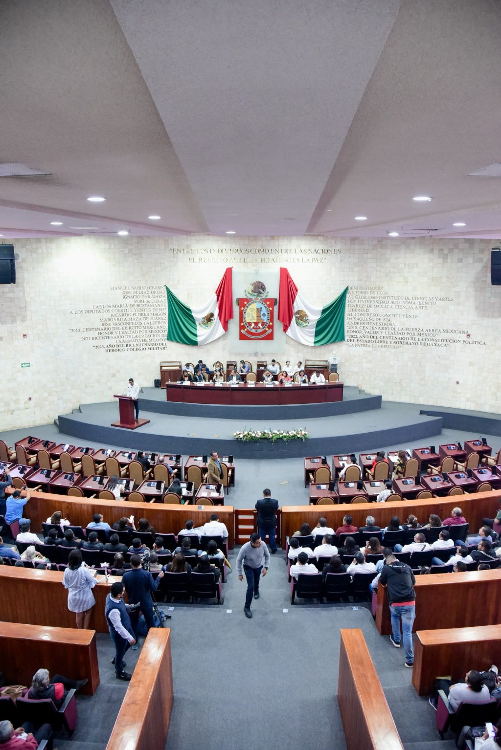 Comparecencia Titular del Iocied (3)