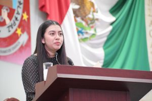 Dip. Jimena Yamil Arroyo_Iniciativa