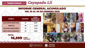 Llega Sebienti a más de 16 mil hogares para atender causas de la violencia 2
