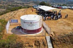 WhatsApp Image 2025-02-18 at 15.24.50