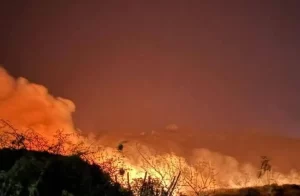 Atiende-Coesfo-incendio-forestal-en-inmediaciones-de-zona-arqueologica-Yagul-1-e1742308702398