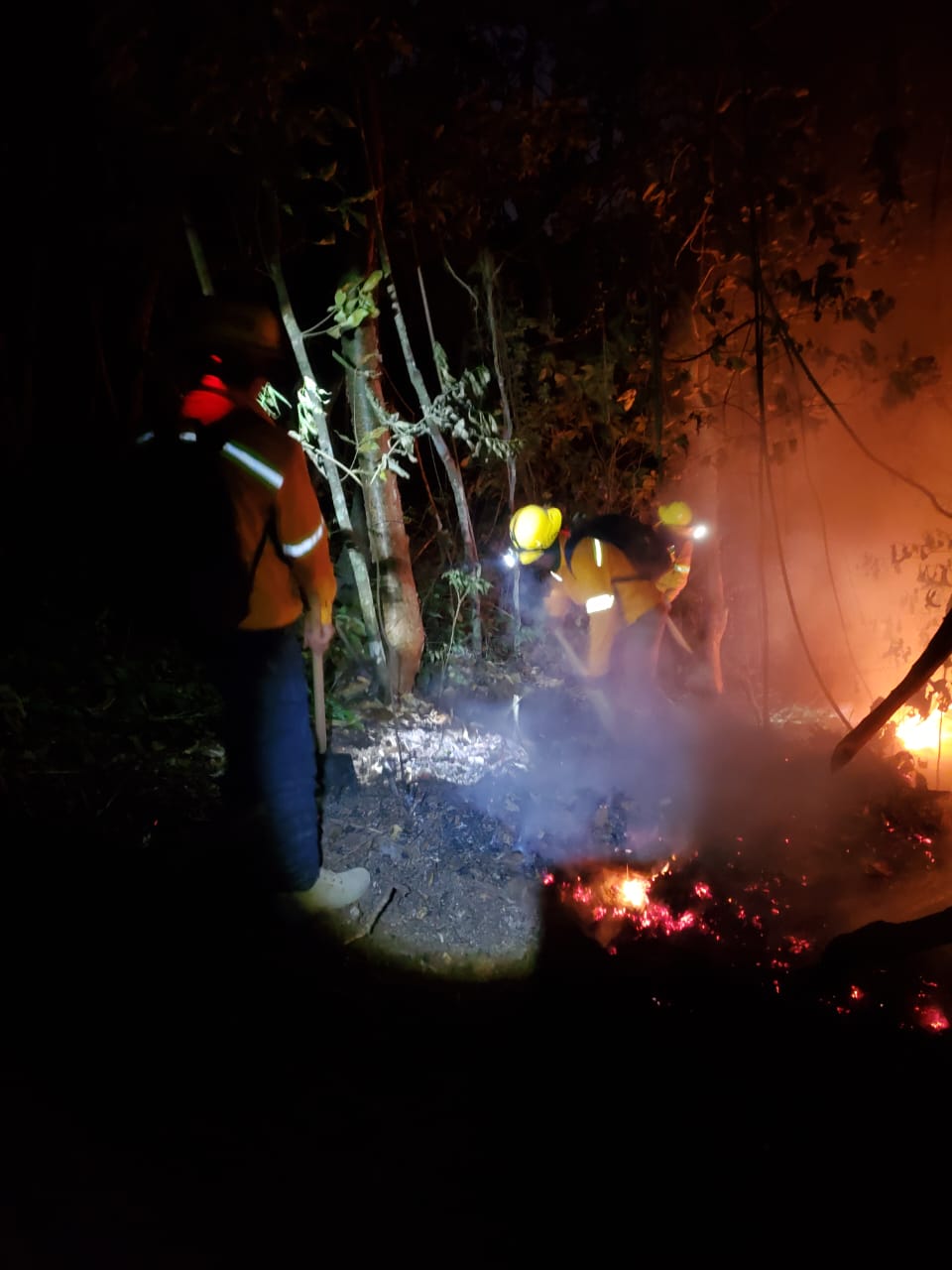 COESFO-SAN GABRIEL MIXTEPEC-1