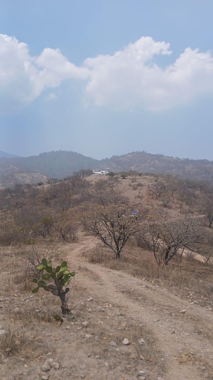 Controlado incendio forestal en Villa Sola de Vega (1)