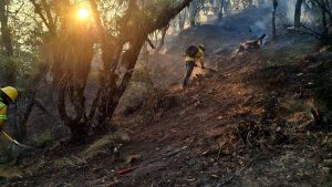 Liquida Coesfo incendio forestal en Ixtlán de Juárez
