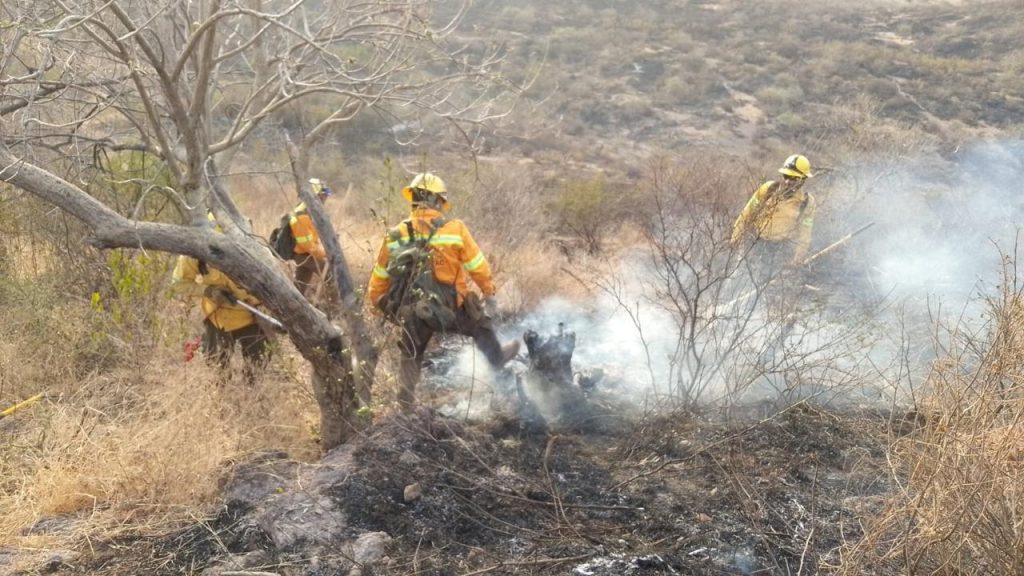 Liquida Coesfo incendio forestal en Santo Tomás Jalieza (3)