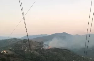 incendio-forestal-en-San-Agustin-Loxicha-e1741967781233