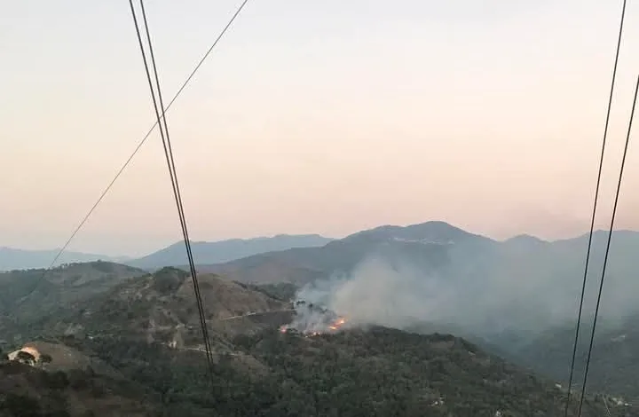 incendio-forestal-en-San-Agustin-Loxicha-e1741967781233