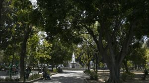 parque