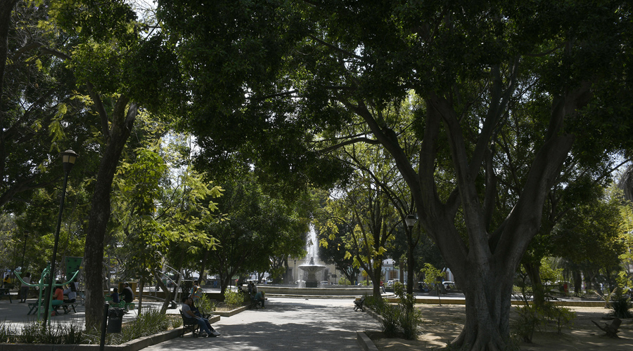 parque