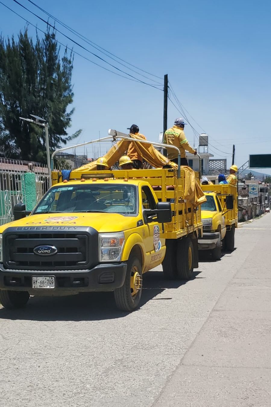 Atiende Coesfo incendio forestal en San Juan Mixtepec (1)