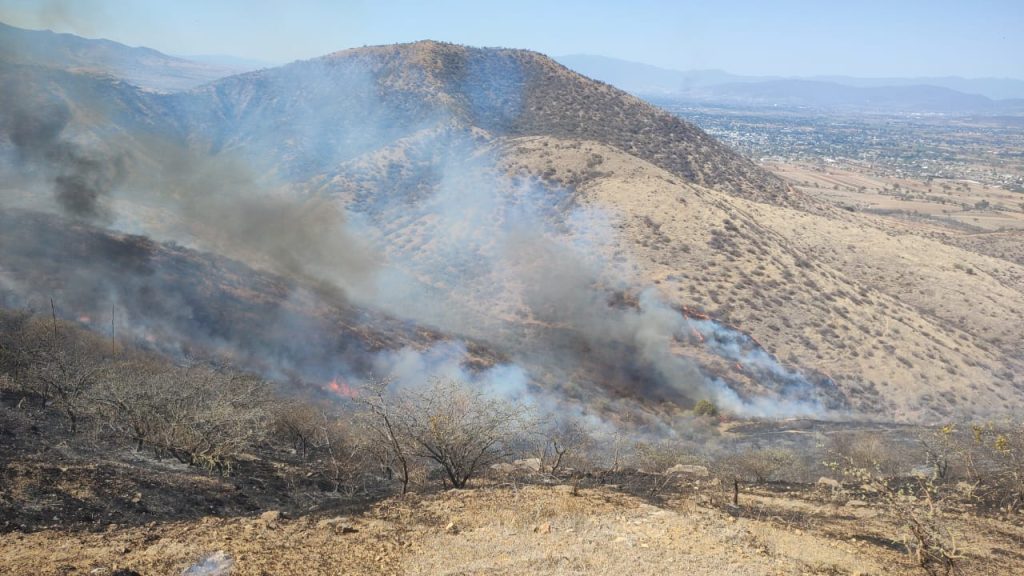 Atiende Coesfo incendio forestal en San Pablo Huixtepec (1)
