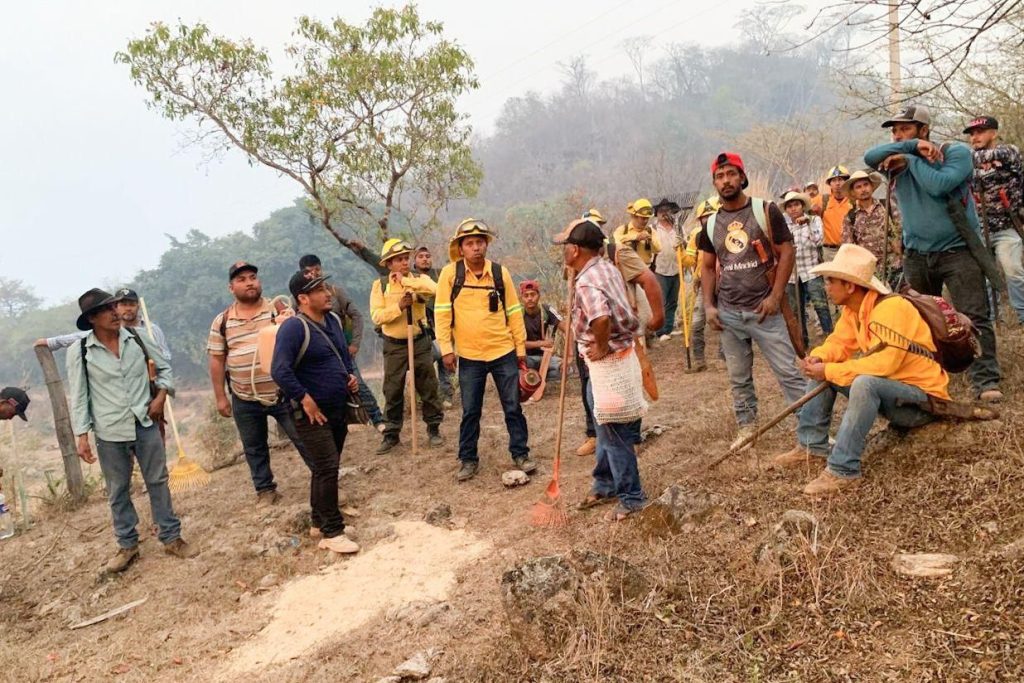 Atiende Coesfo incendio forestal en límites de Santiago Minas y Santa Catarina Juquila (1)