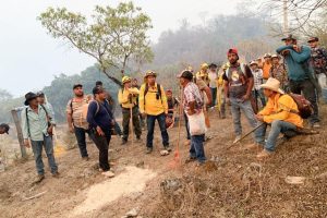 Atiende Coesfo incendio forestal en límites de Santiago Minas y Santa Catarina Juquila (1)