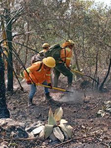 Atiende Gobierno de Oaxaca 7 incendios forestales en la entidad 6
