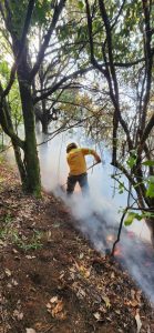 Controla Coesfo incendio forestal en Cuyamecalco Villa de Zaragoza (1)